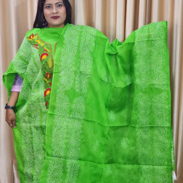 Parrot Green Ti-Di Pride Dress With Hand Stitch